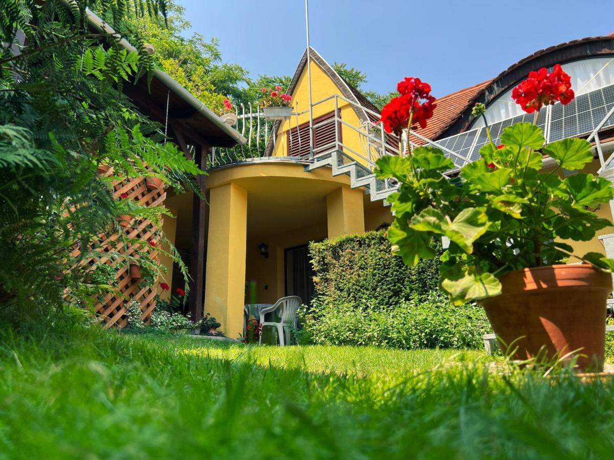 Ovar 12 Vendeghaz Tokaj Exteriér fotografie