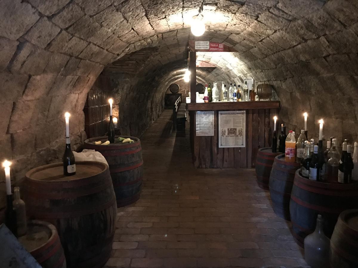 Ovar 12 Vendeghaz Tokaj Exteriér fotografie